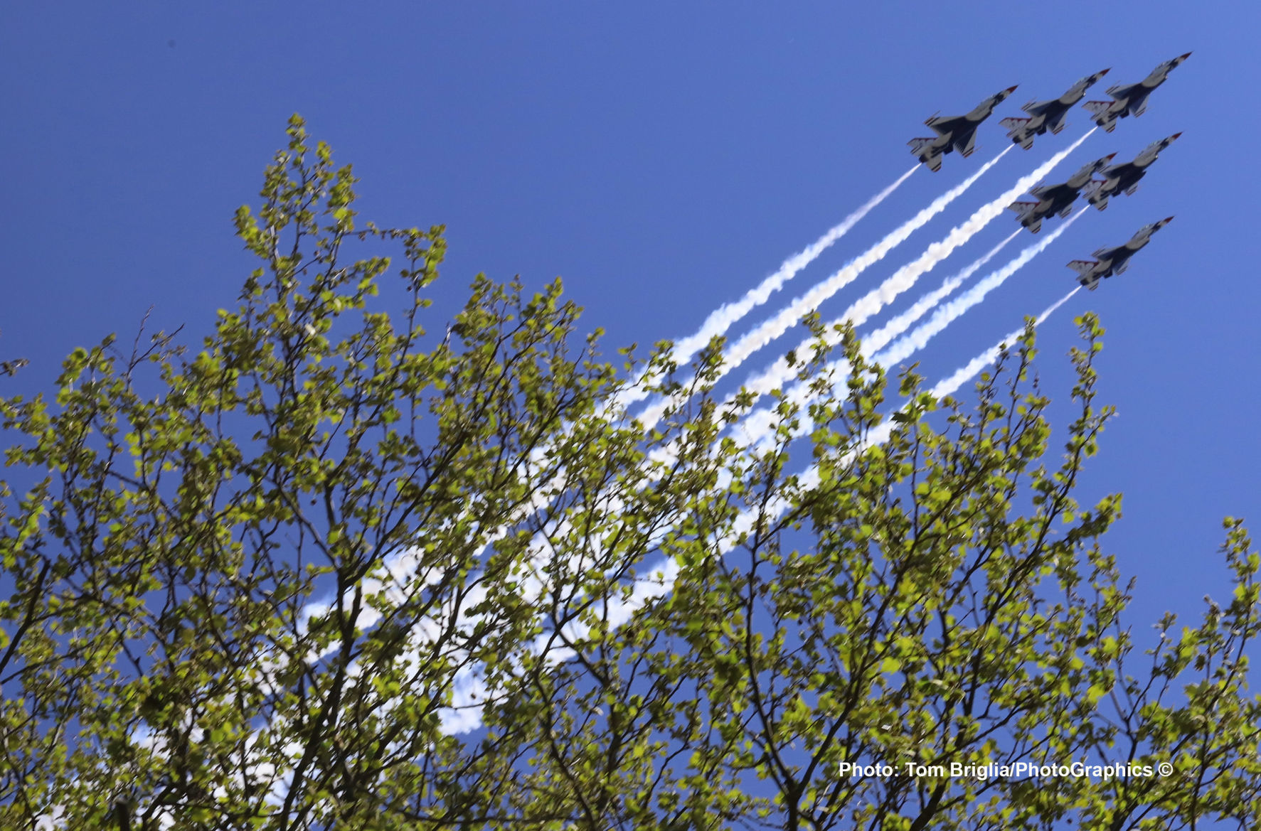 blueangelscamden (7)